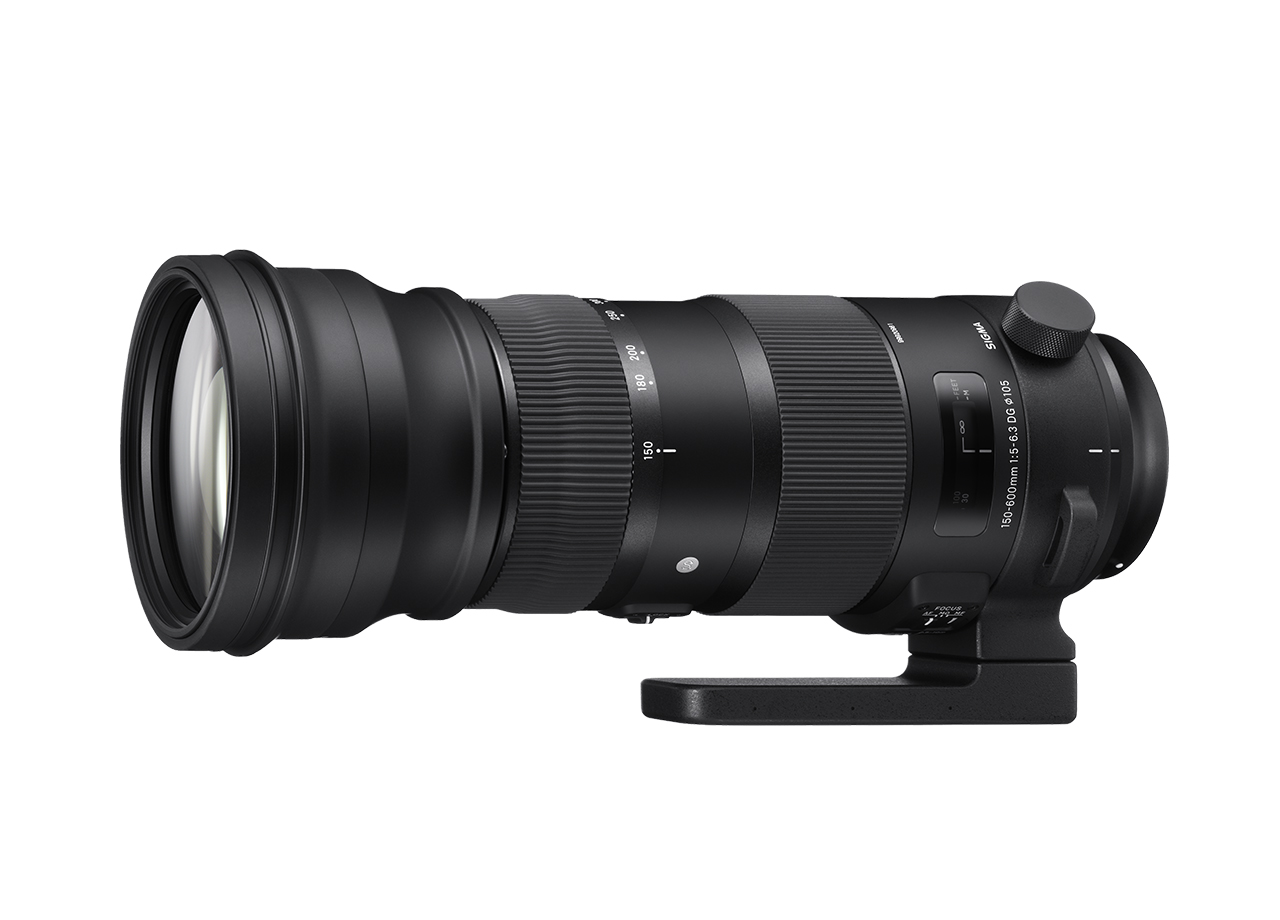 SIGMA 150-600mm F5-6.3 DG OS HSM | Sports