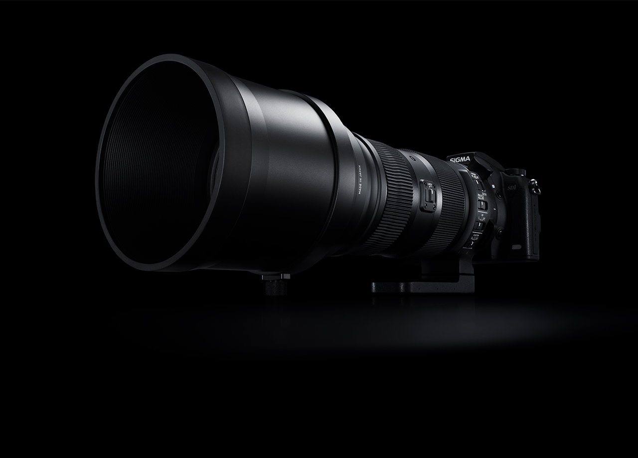 SIGMA 150-600mm F5-6.3 DG OS HSM | Sports