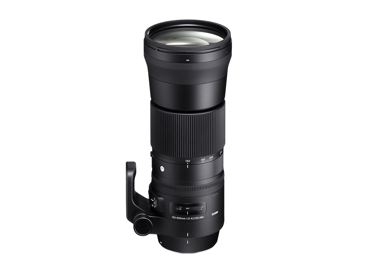 SIGMA 150-600mm F5-6.3 DG OS HSM | Contemporary