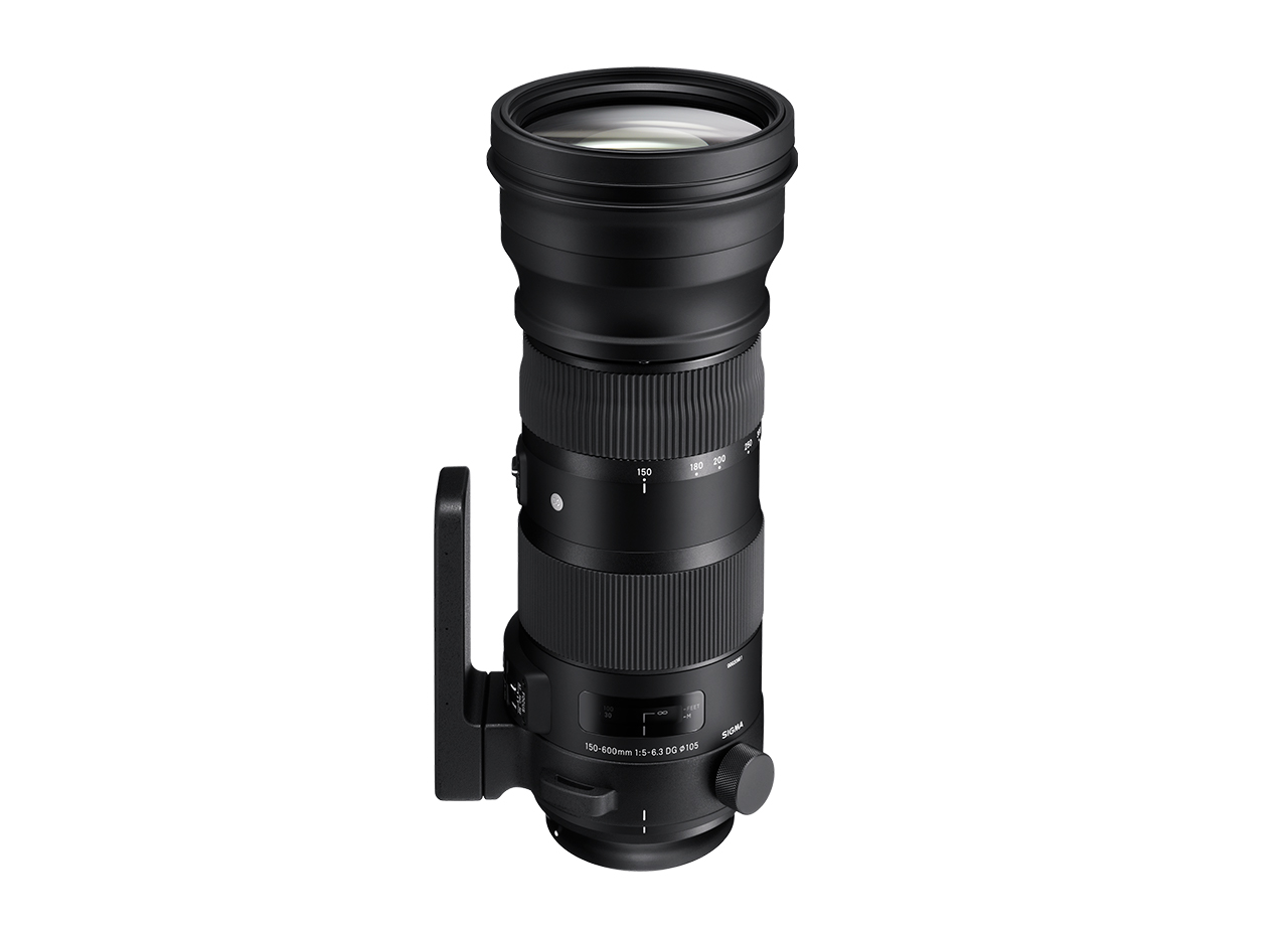 SIGMA 150-600mm F5-6.3 DG OS HSM | Sports