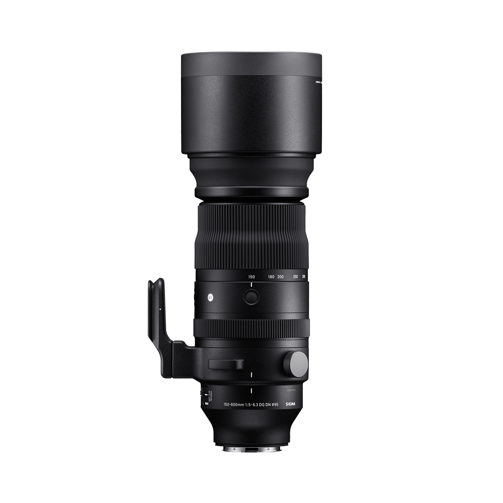 SIGMA 150-600mm F5-6.3 DG DN OS | Sports