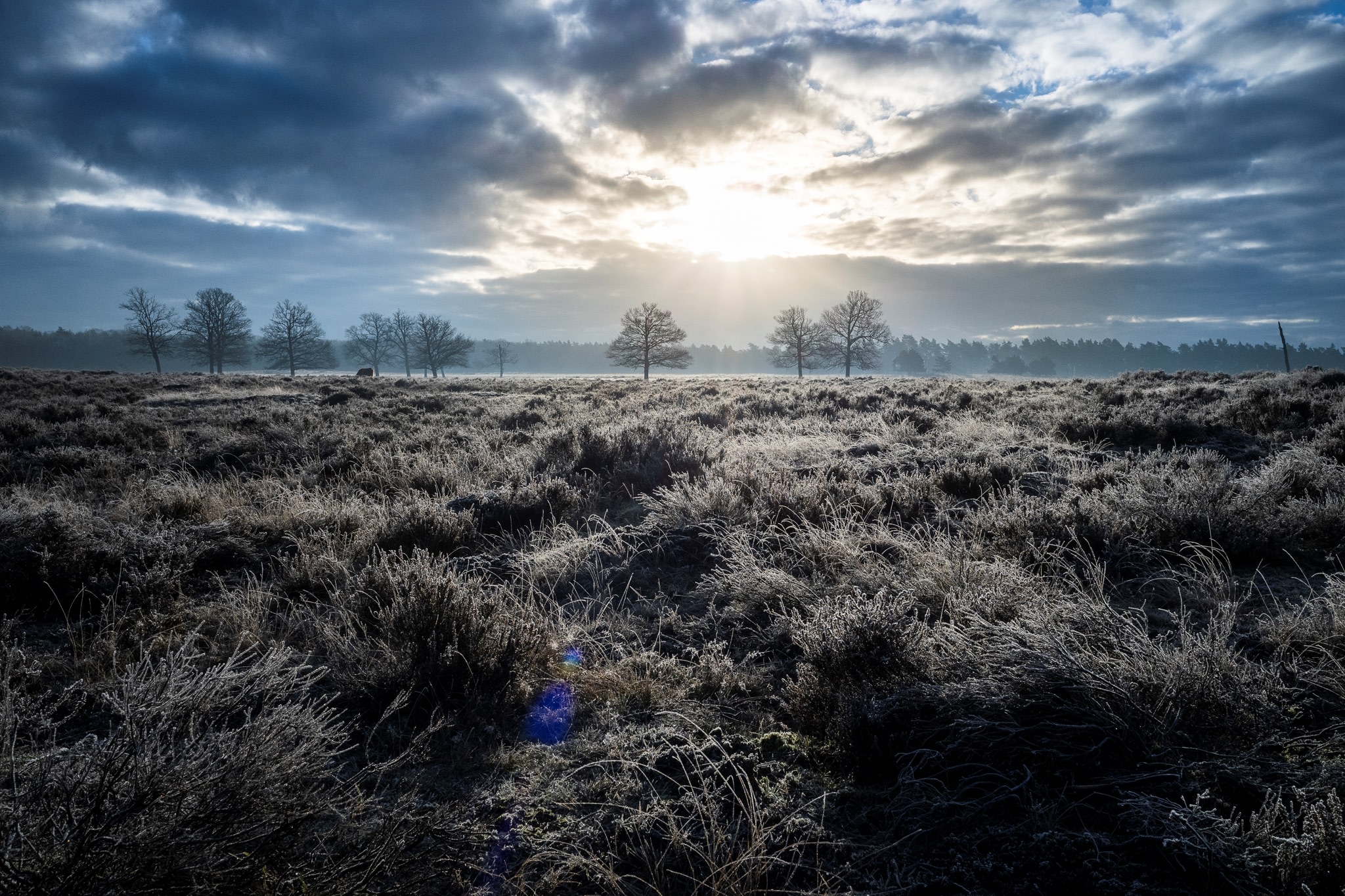 Landschapsfotografie met de SIGMA 24mm F3.5 DG DN | Contemporary uit de I-series